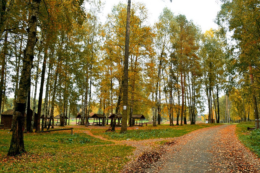 Осенние фотографии Костромы