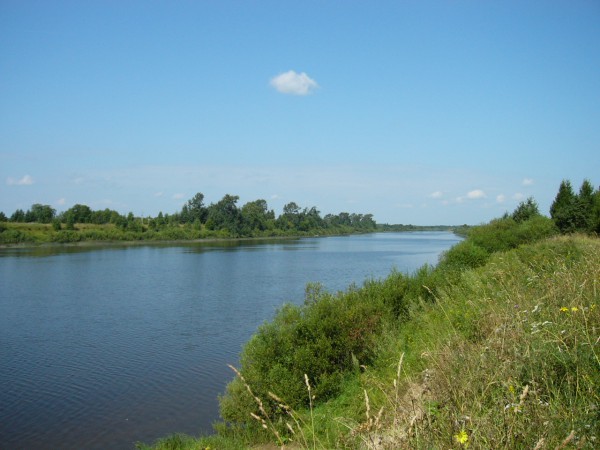 Река в Костромской области