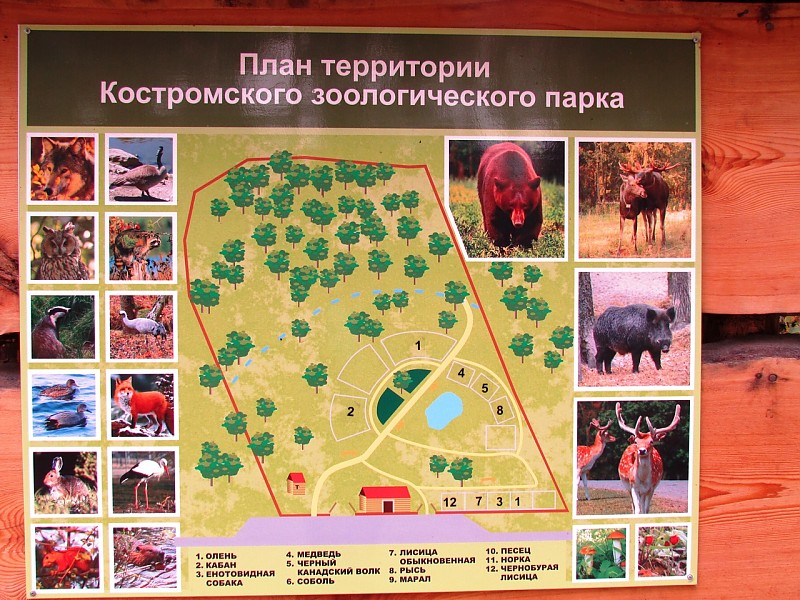 план зоопарка в Костроме