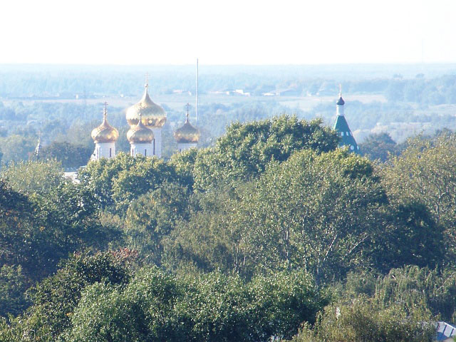кострома