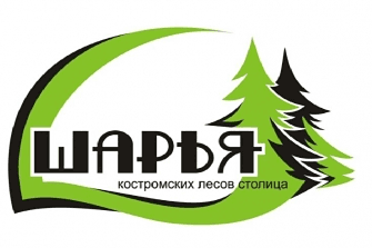 Логотип Шарьи, бренд Шарья